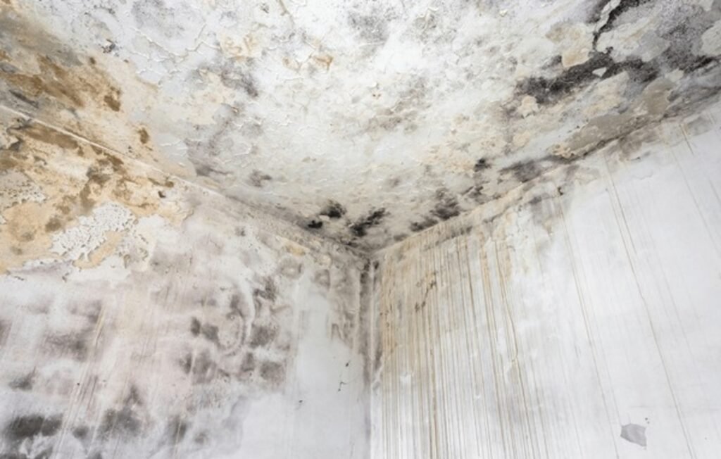 water damage pics (8)
